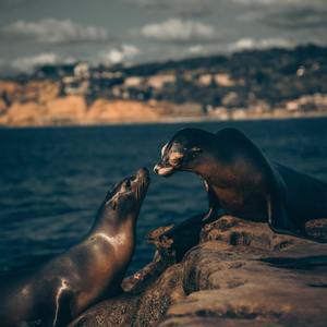 苍井空被叉动态图
