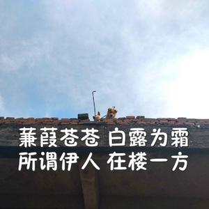 苍井空被叉动态图
